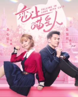 同色彩相撞