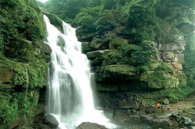 植物大战僵尸7